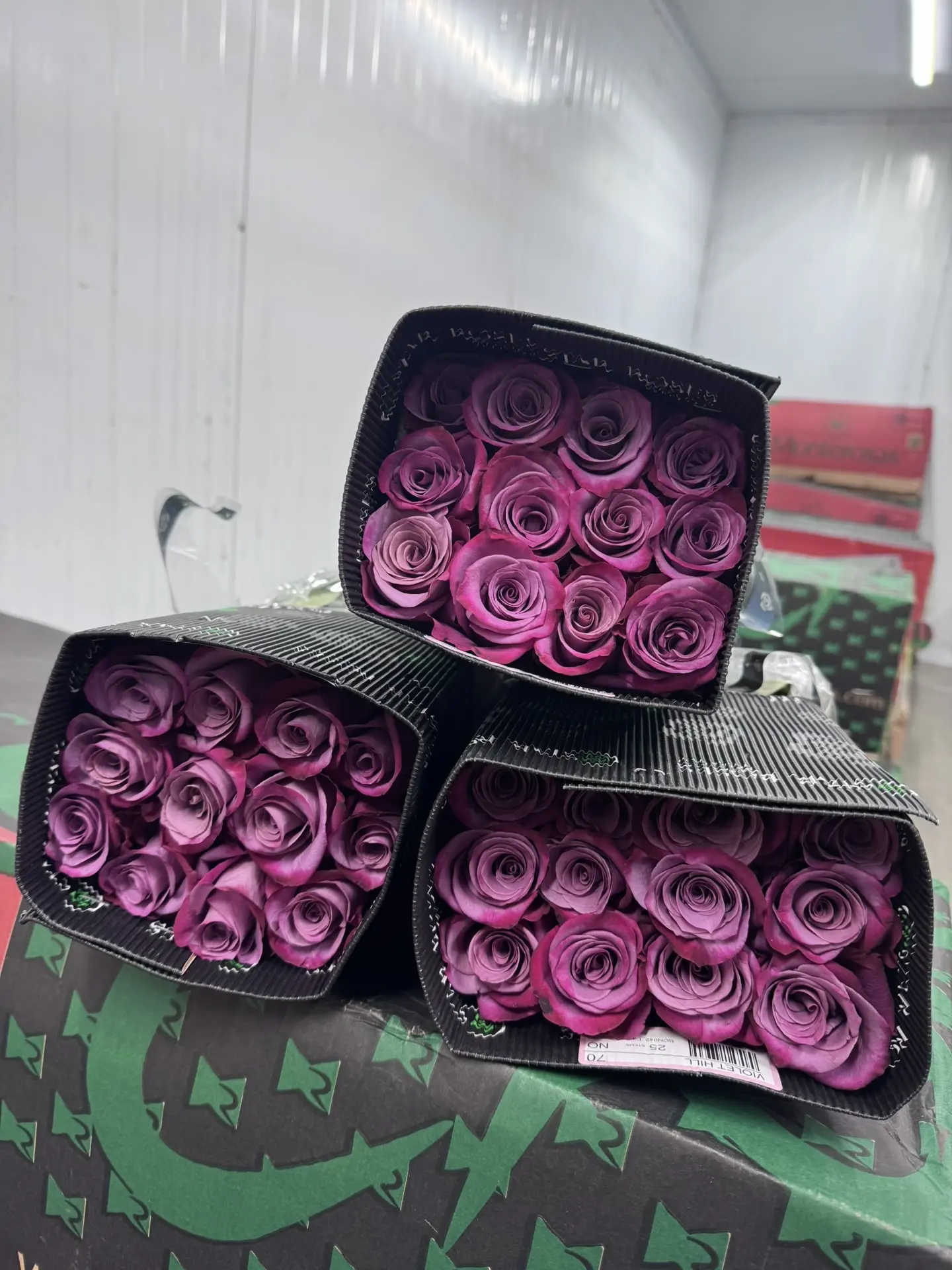 Шикарный ассортимент эквадорских роз 🌹