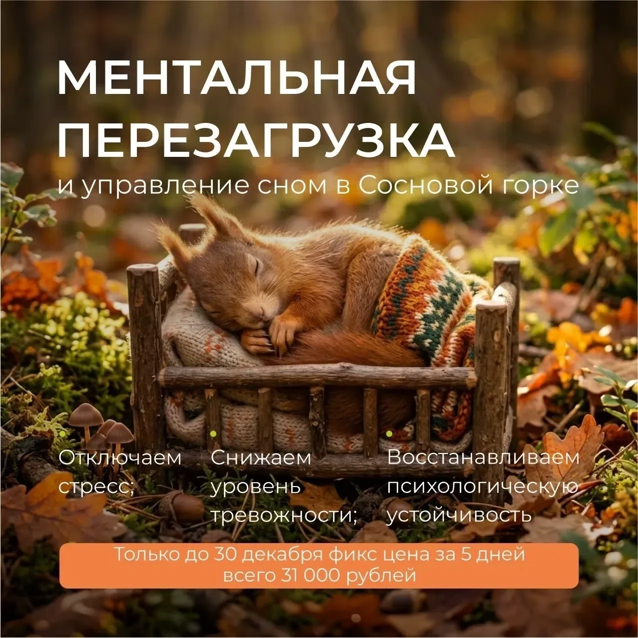 Друзья, а вы согласны, что в Сосновой Горке спится особенно сладко? Замечали что блажен...