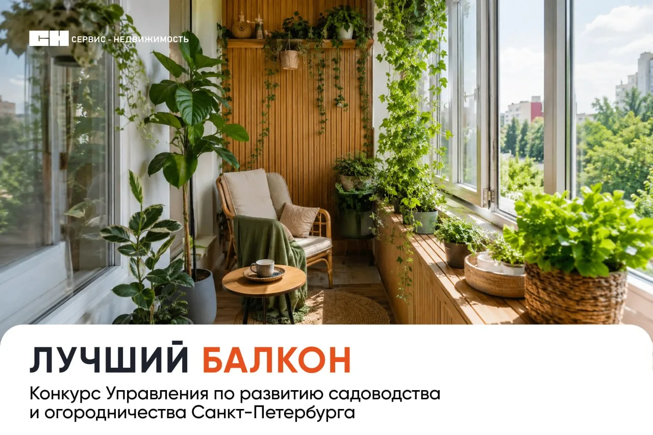 🌿 ГОРОДСКОЙ КОНКУРС "ЛУЧШИЙ БАЛКОН 2026"

До 10 августа идет прием заявок для участия в ежегодном к
