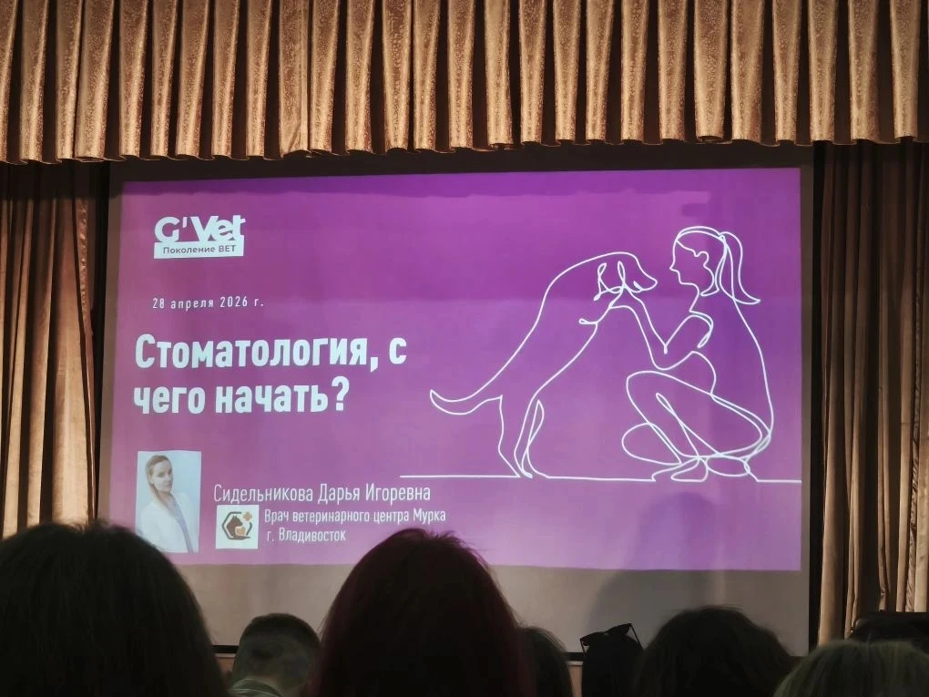 28 апреля 2026 года в стенах Приморского ГАТУ прошла студенческая конференция "Поколение ВЕТ: актуал