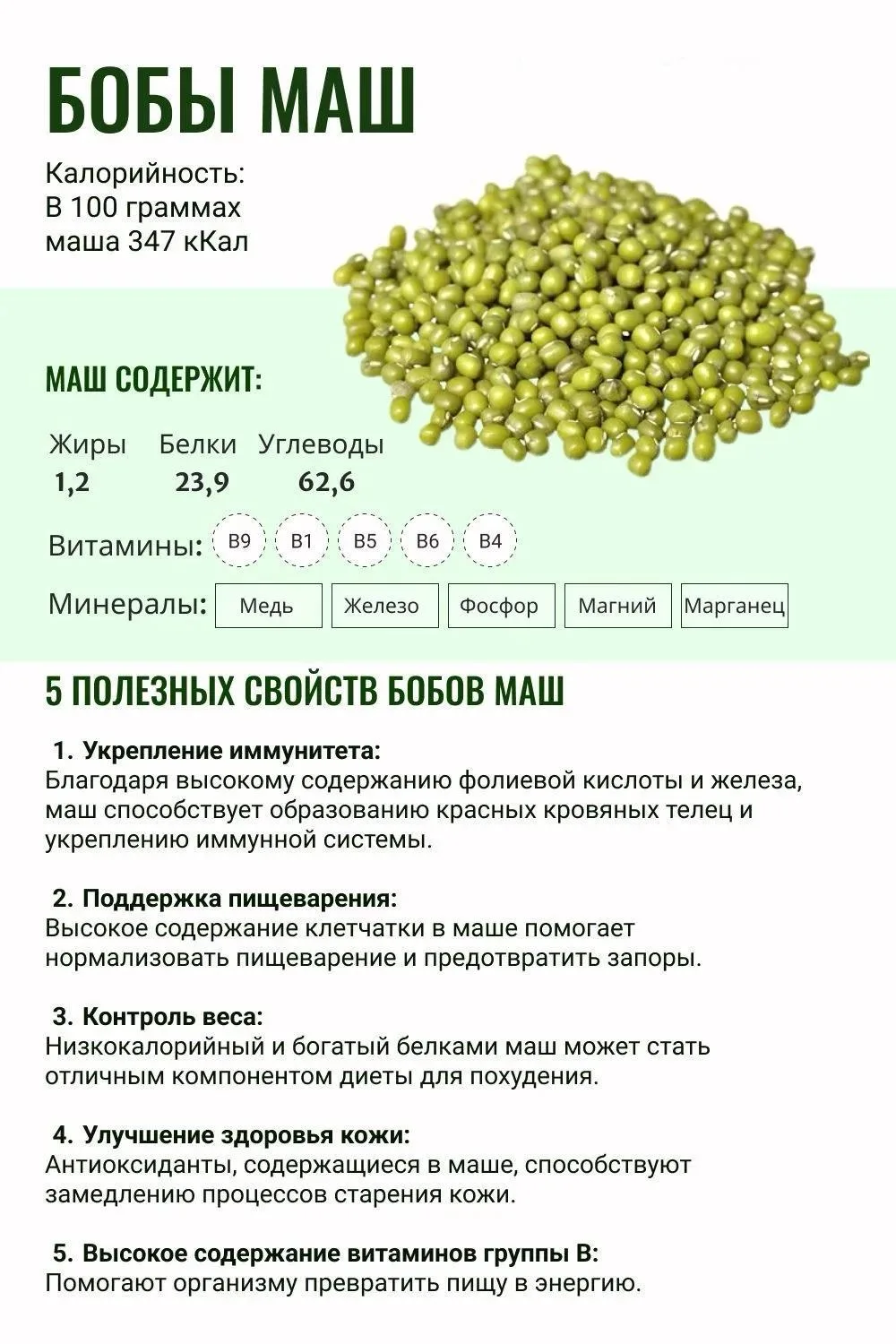 🫛Бобы маш — твой зелёный супергерой среди продуктов!🫛