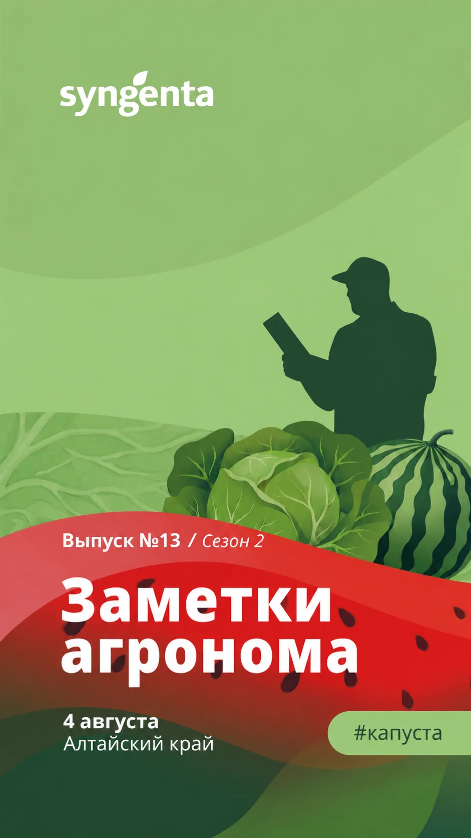 #ЗаметкиАгронома2026 #Сингента #капуста