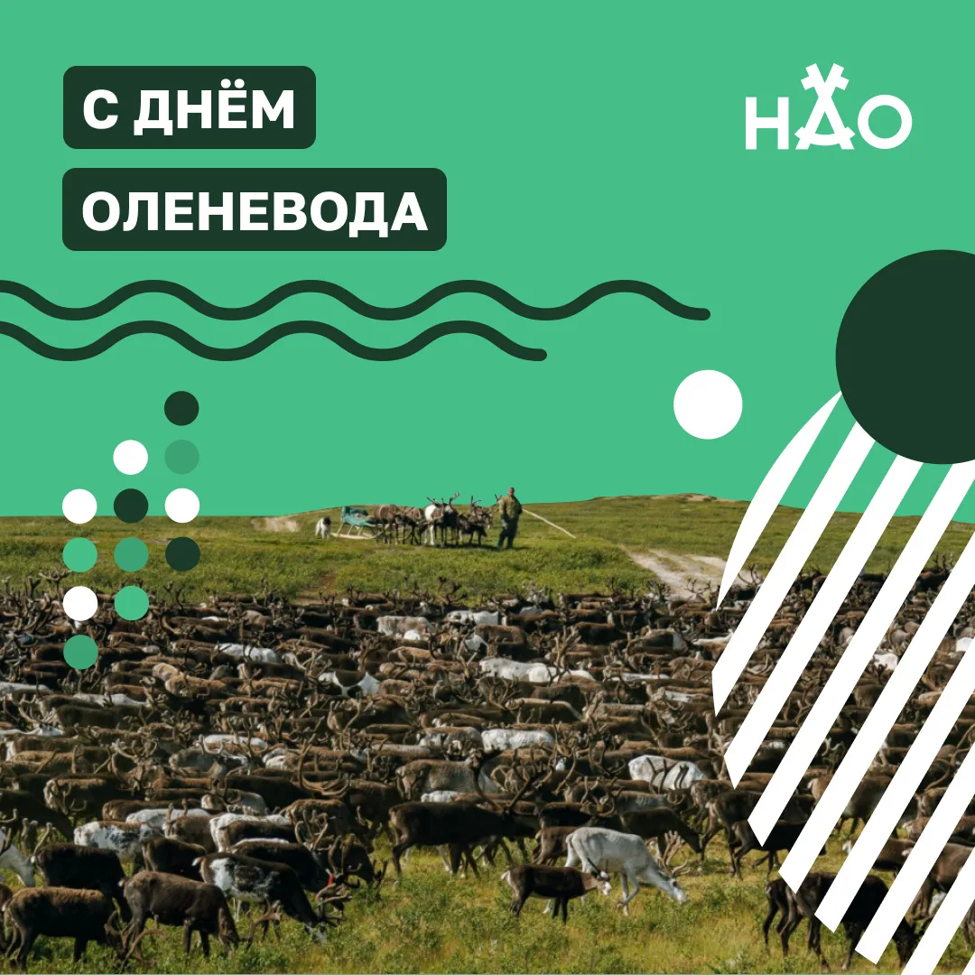Сегодня в Ненецком автономном округе отмечается День оленевода.