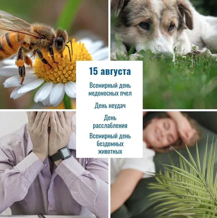 Сегодня отмечаются: