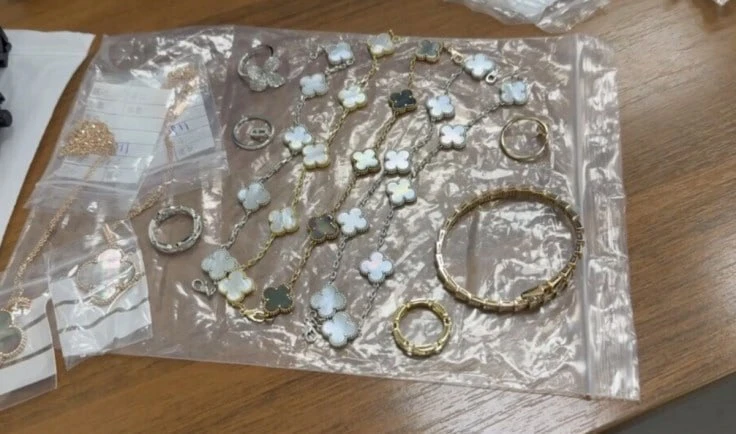 Таможенники в аэропорту Шереметьево задержали пассажира, который пытался провезти украш...