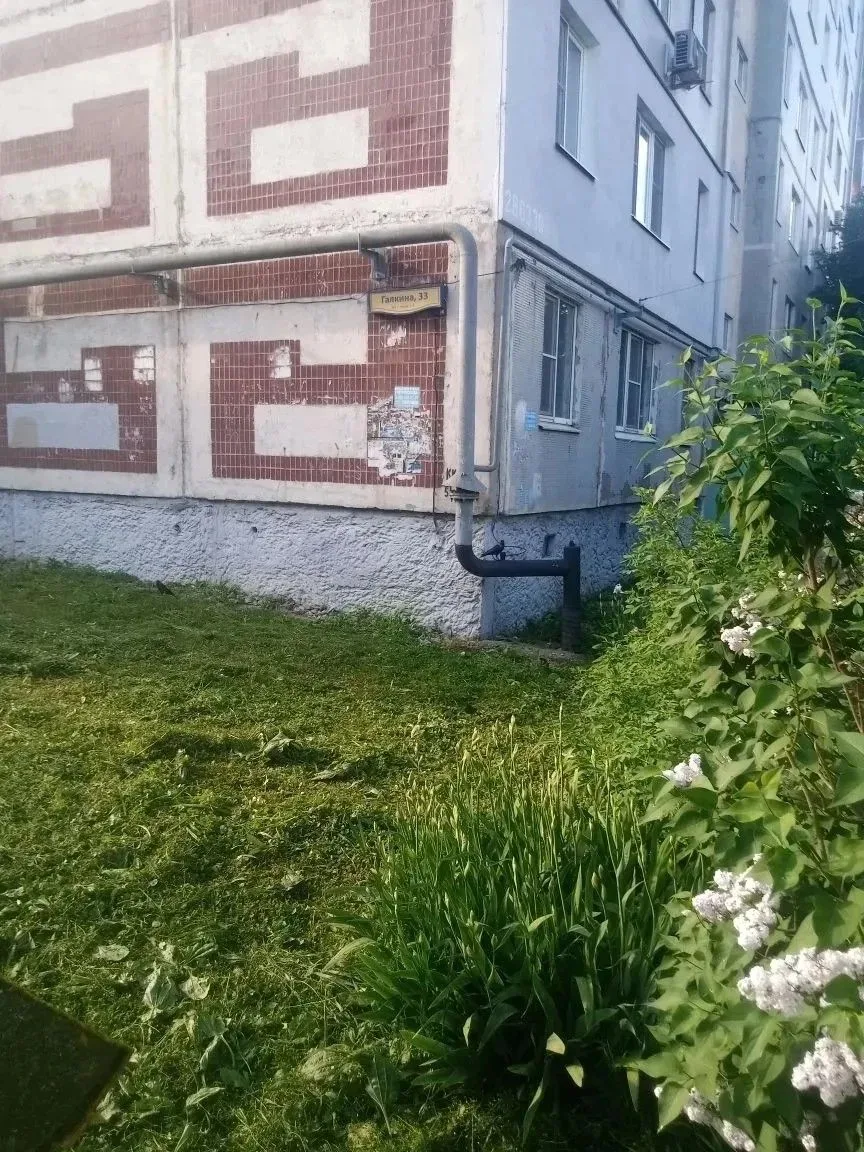 🏡 О выполненных работах по благоустройству 25.05.26 по адресу Галкина 33