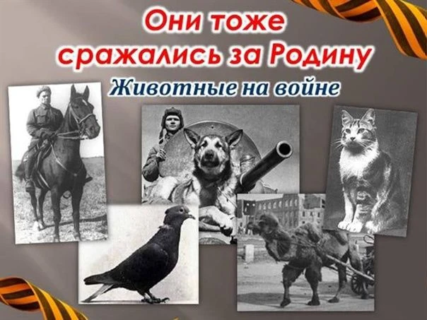 РУБРИКА «РАССКАЖИТЕ ДЕТЯМ»