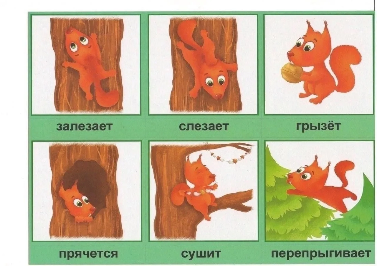 🏃‍♂ Развитие речи. Глаголы 🏃‍♂   --- Просим показать лайком ❤️🔥👍, что такой материал действительно д