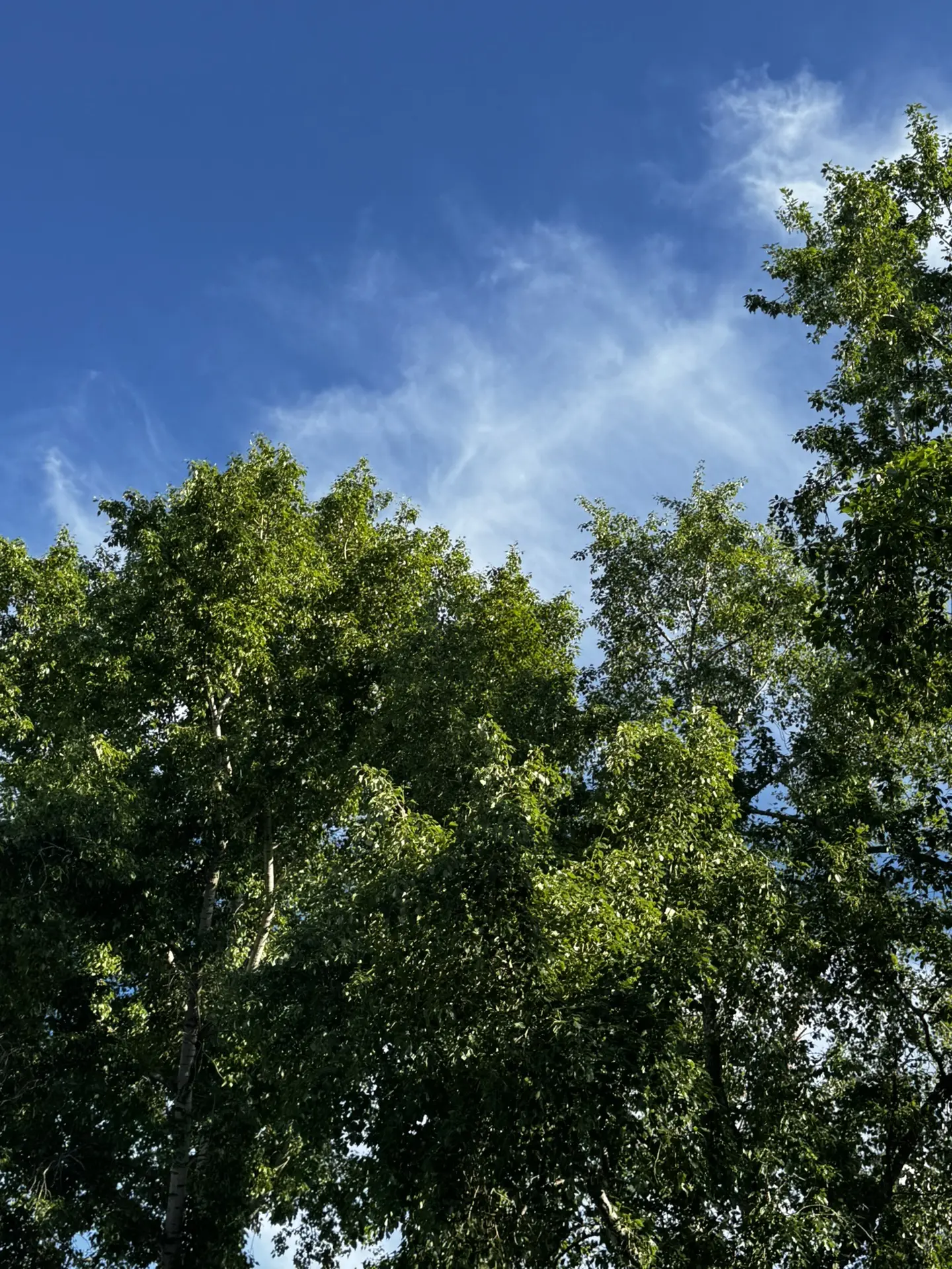 ☀️ Сегодня выдалась просто прекрасная погода, и мы отправились на прогулку, чтобы насладиться тёплым