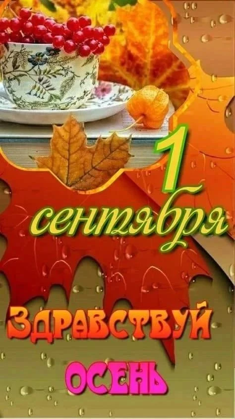 Поздравляю всех учеников, студентов и их родителей с началом нового этапа!!!