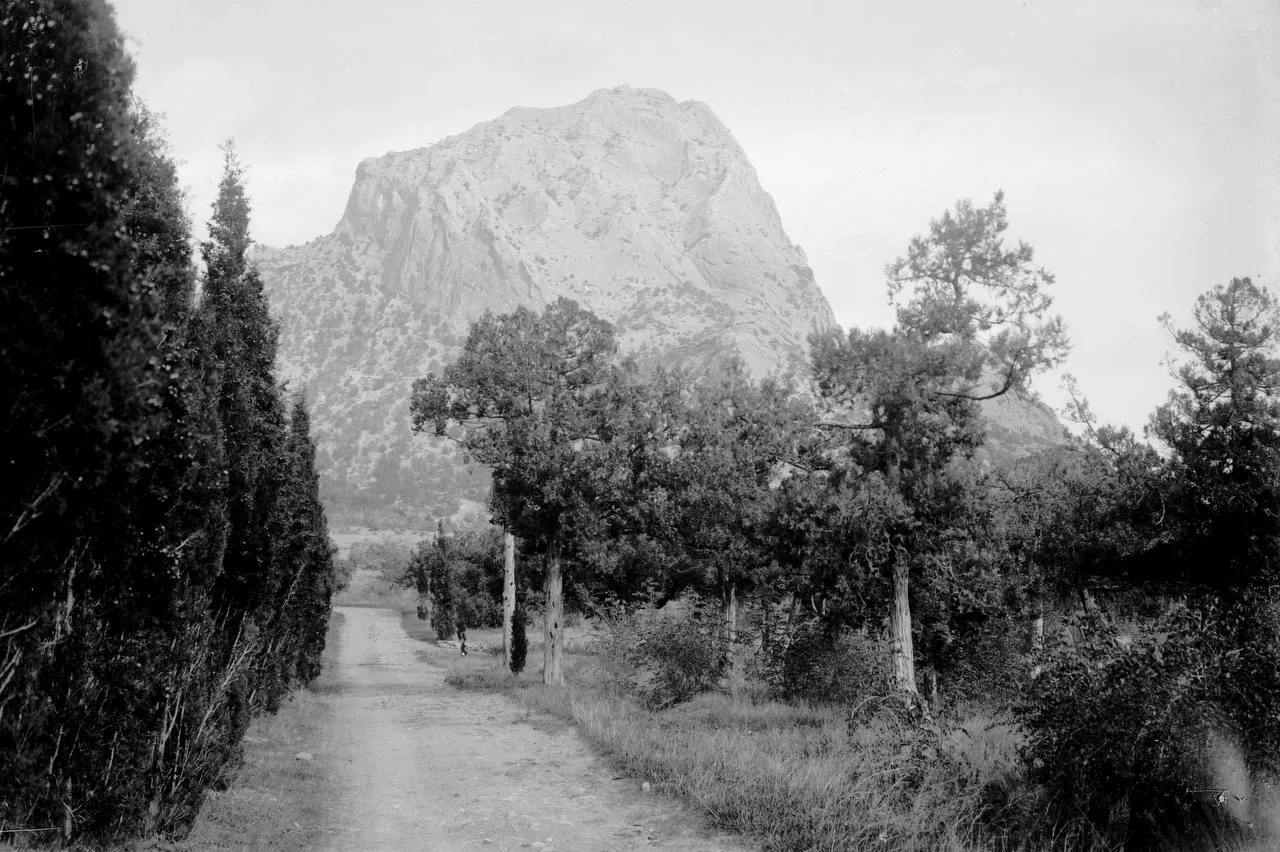 Дорога, ведущая из Нового Света в Судак, 1910 г. Сейчас это район автовокзала. Кипарисы...