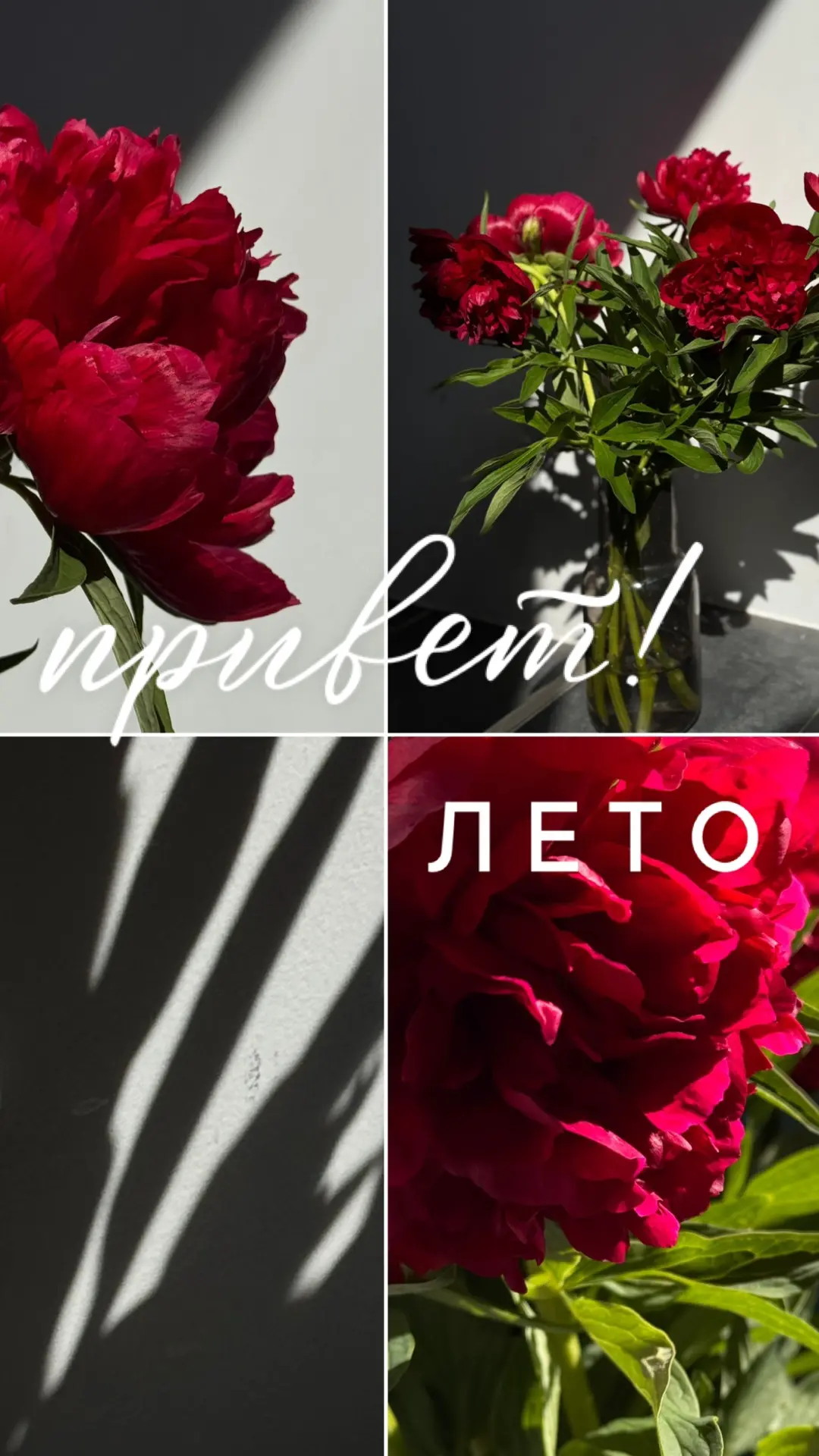 Лето, поехали ✨✨✨