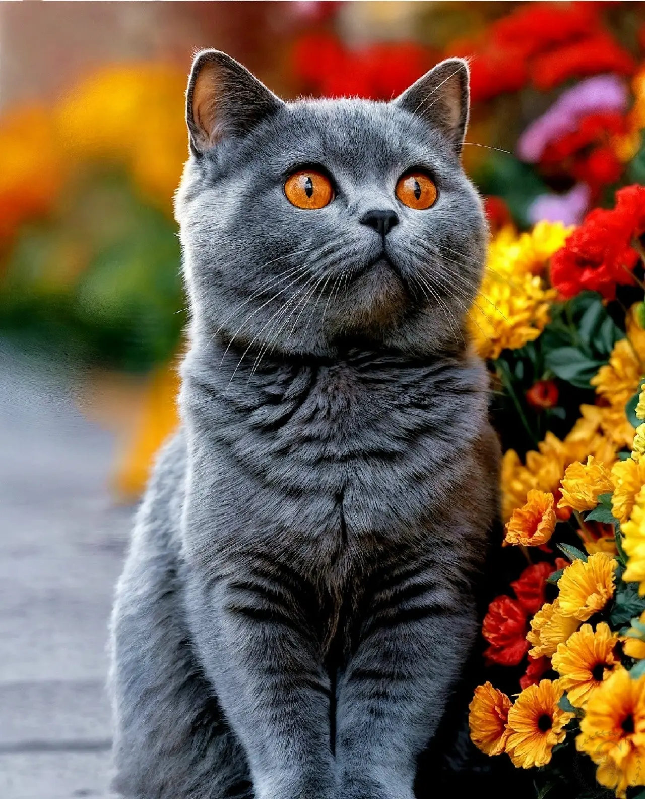 https://vk.com/photo-184814919_492941843
