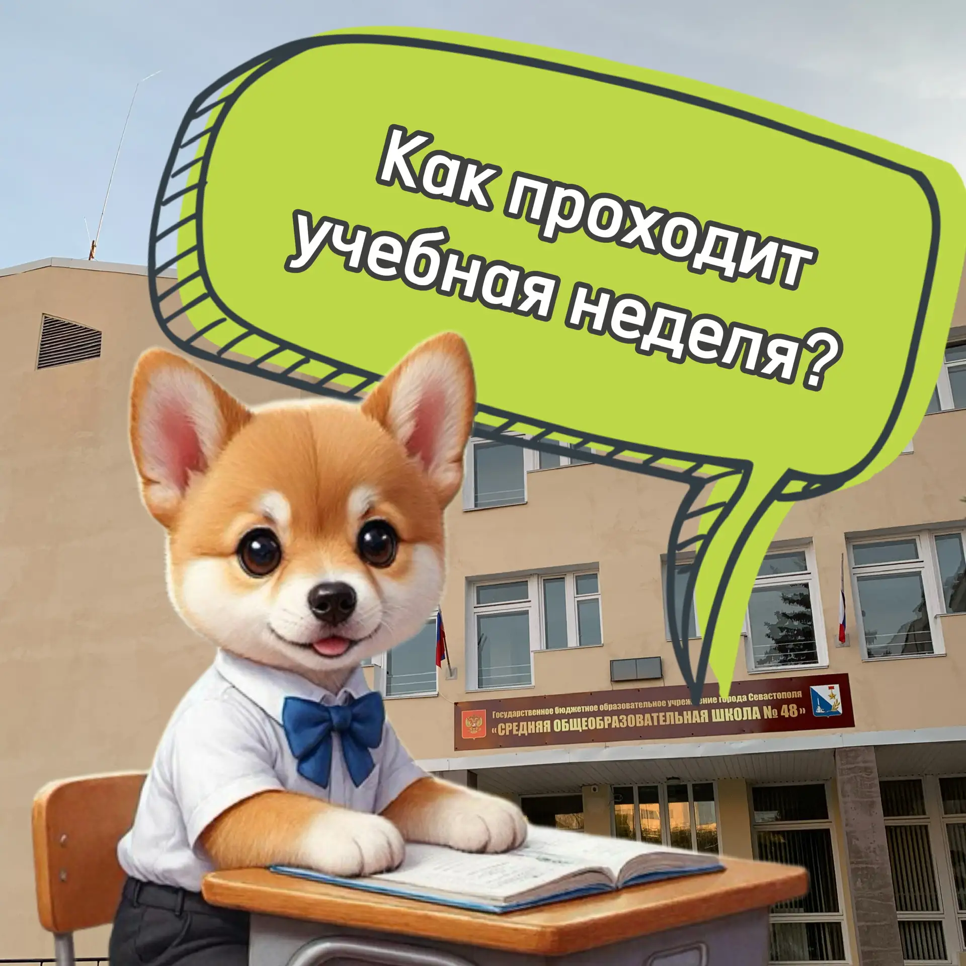 📚Заканчивается учебная неделя   Домашние задания, самостоятельные и контрольные работы, новые знания