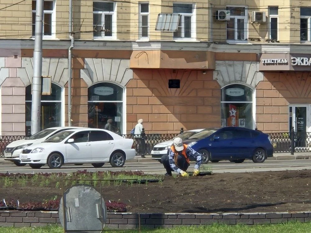 На площади Октября в Барнауле началась высадка однолетних растений
