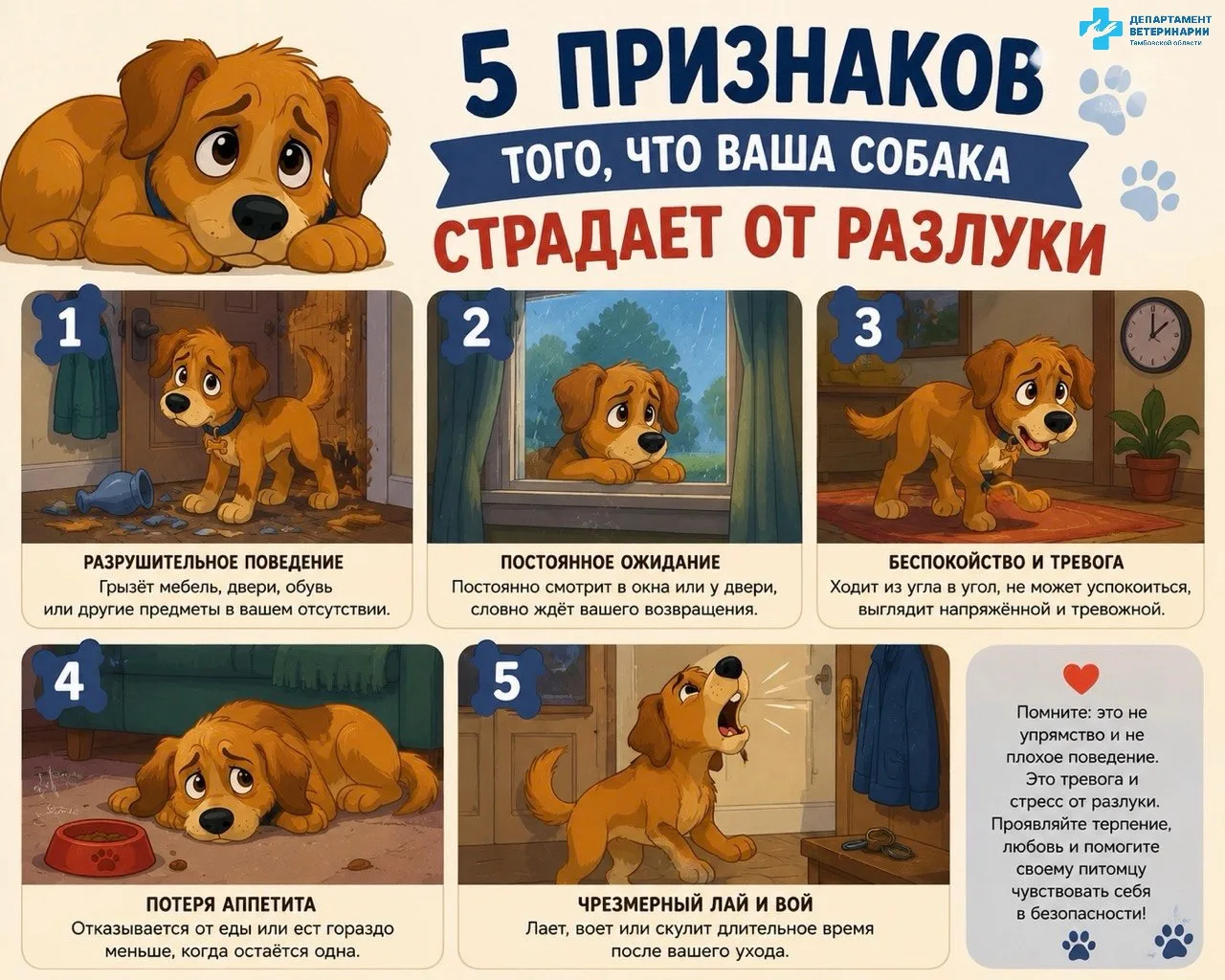 🐶 5 признаков, что ваша собака страдает от разлуки.