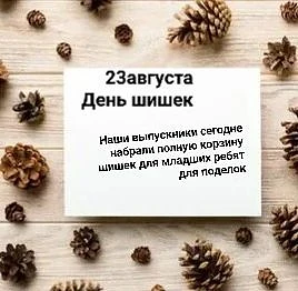 🌲 День шишек: как это было!