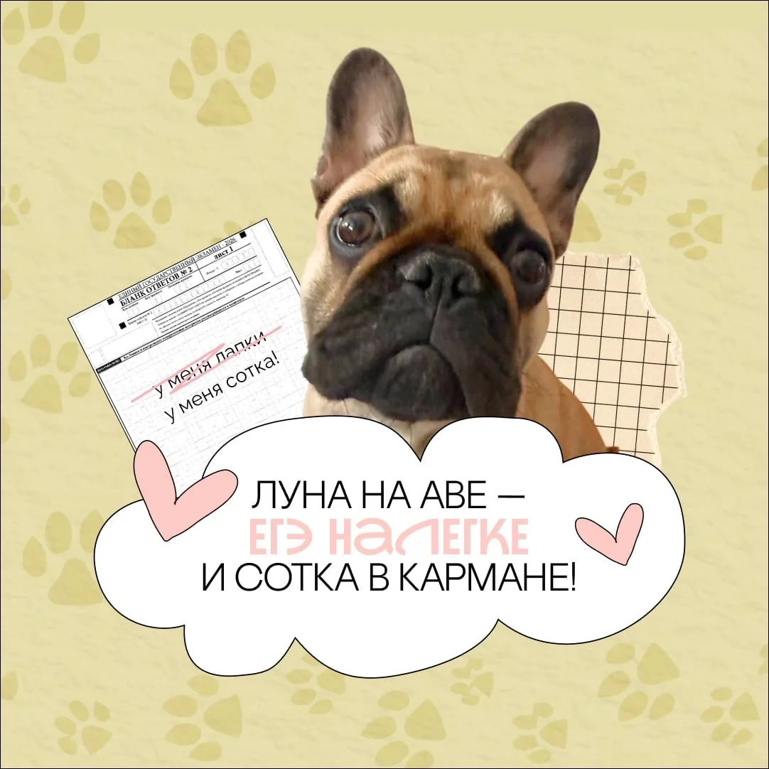 11 класс, желаю вам завтра удачи на русском!