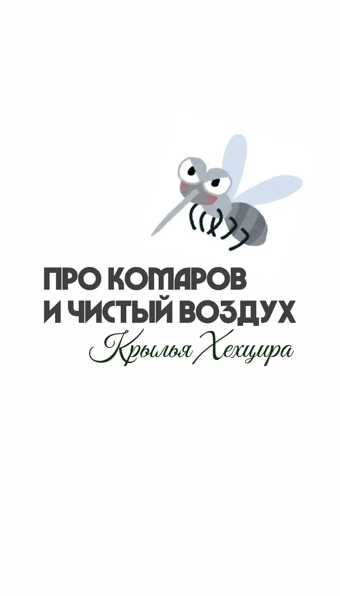 🌲 Чистый ВОЗДУХ И МИНИМУМ комаров