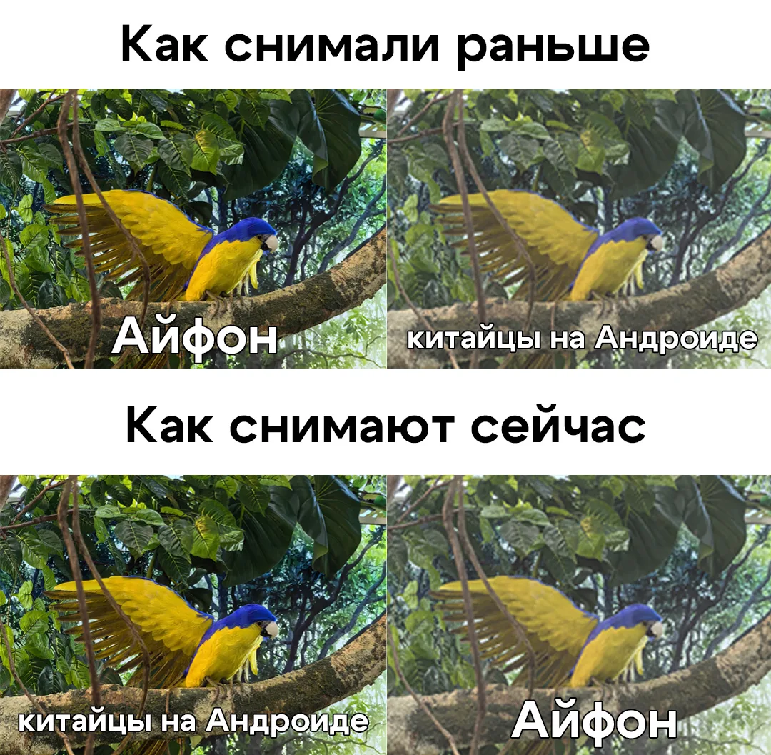 Как так вышло?
