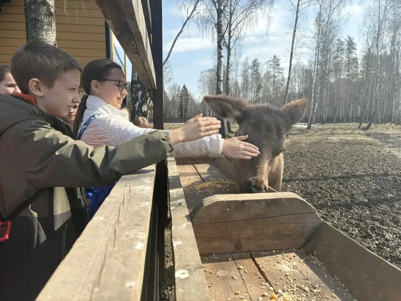 🌳Когда школьники идут в поход с рюкзаками овощей!   Знаете, что бывает, когда ребята с 4 по 6 класс 