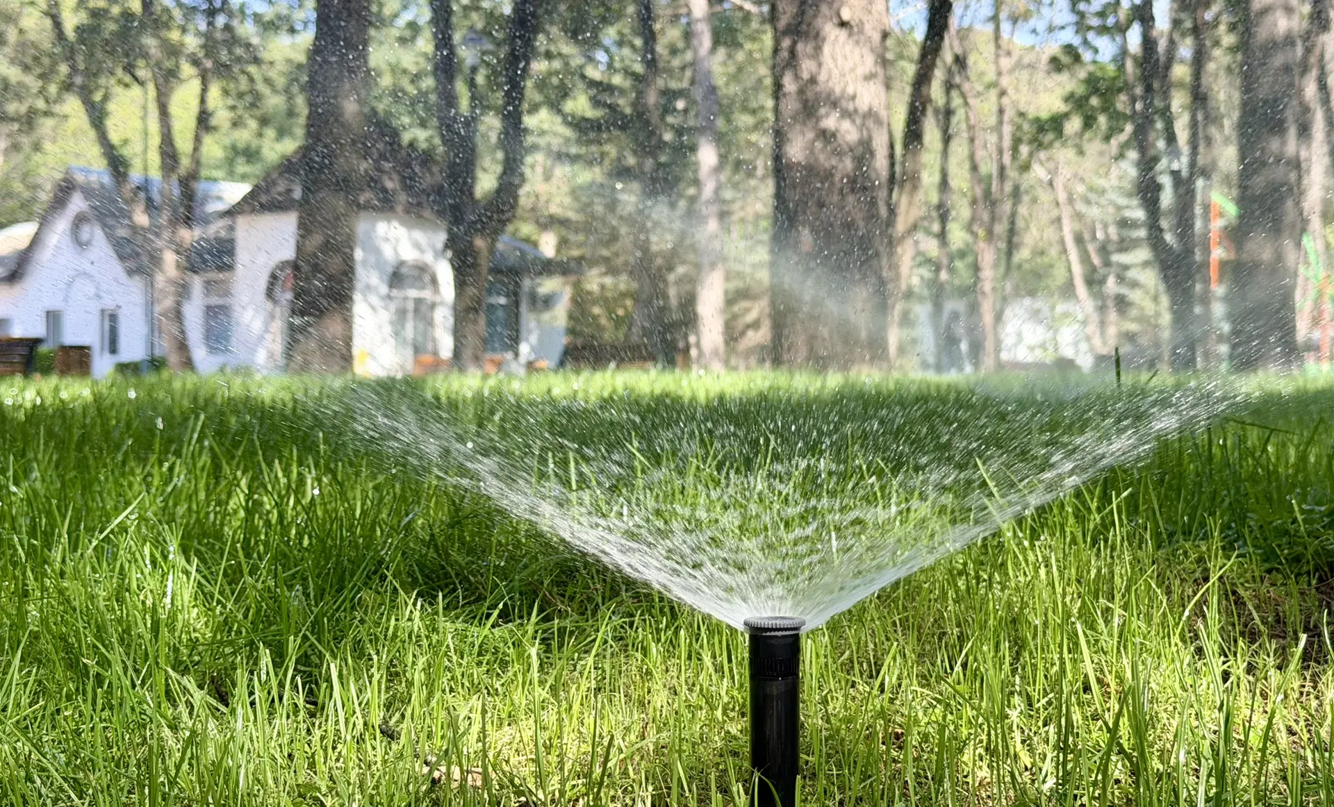 💦☀️В период летней жары поливу зелёных зон Симферополя уделяется особое внимание.