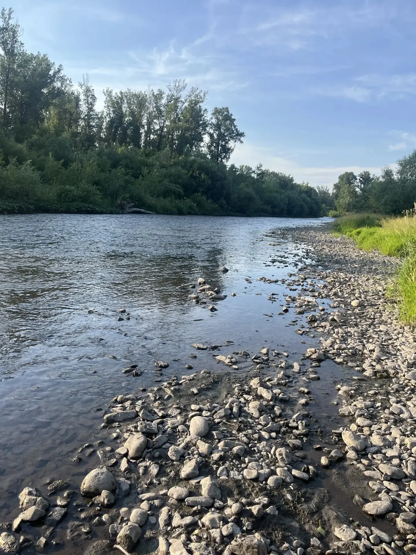 ⚠️ Памятка: Безопасность на воде

Лето — время отдыха у воды! Чтобы купание приносило только радость