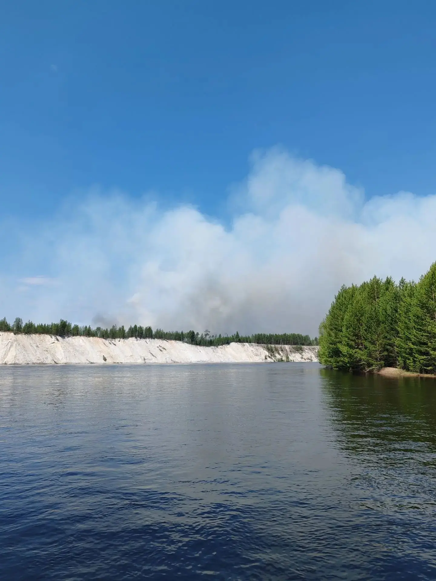 У нас есть рыбацкая избушка у реки в 30 км от поселка.
В прошлом году рядом с ней случился лесной по