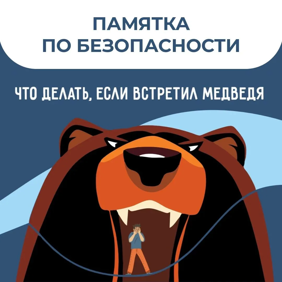 Что делать, если вы в лесу неожиданно столкнулись с медведем или косолапый вышел к ваше...