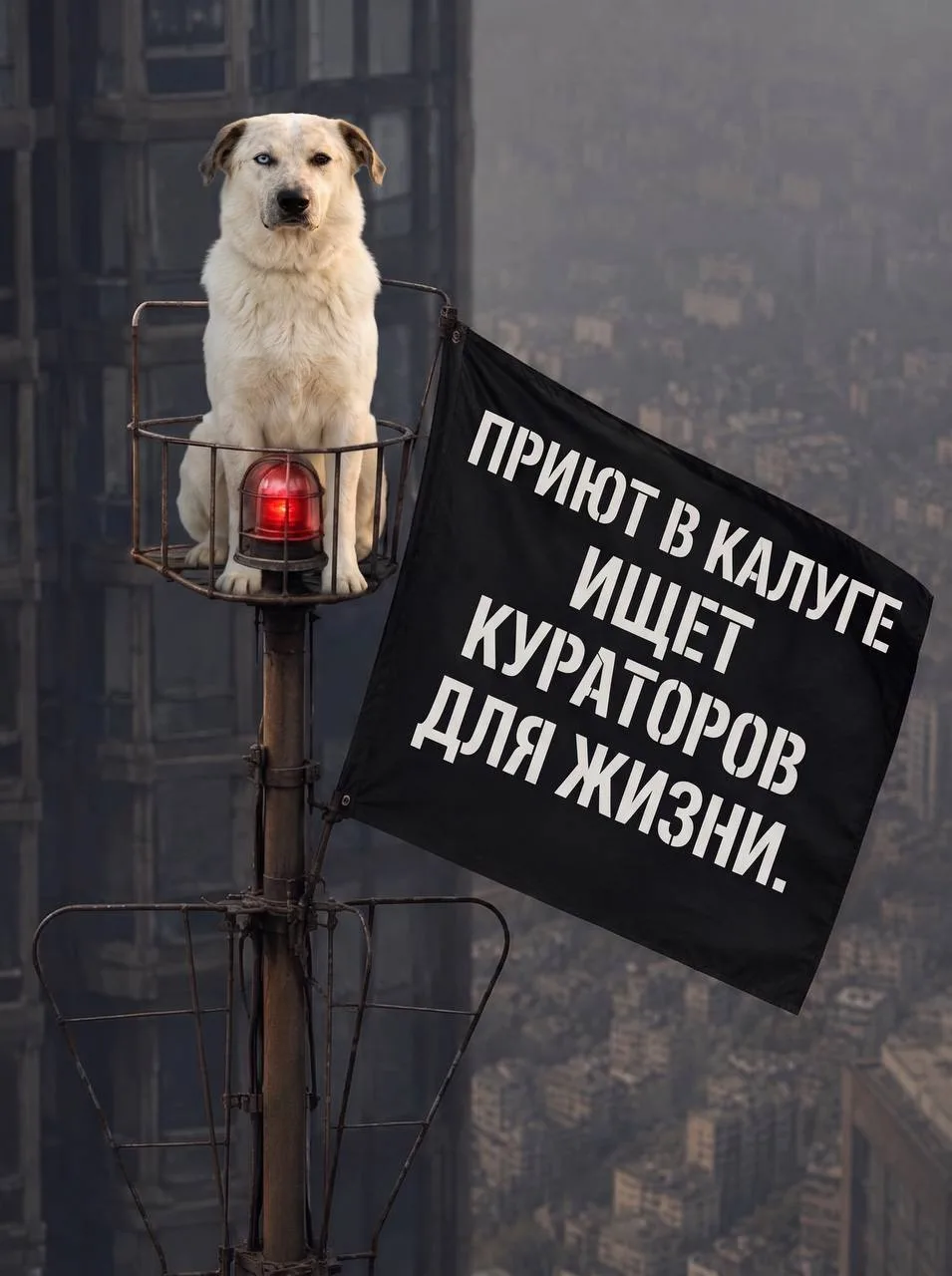 Вчера мы вместе с Крутышом побывали на чудесном благотворительном мероприятии для детей.