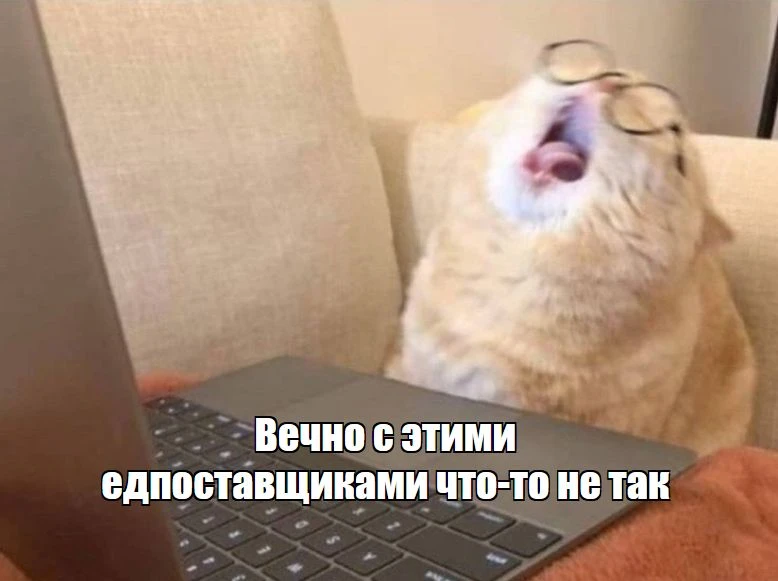 С 1 июля едпоставщик переходит в цифру: какие документы срочно обновить

С 1 июля 2026 года закупки 