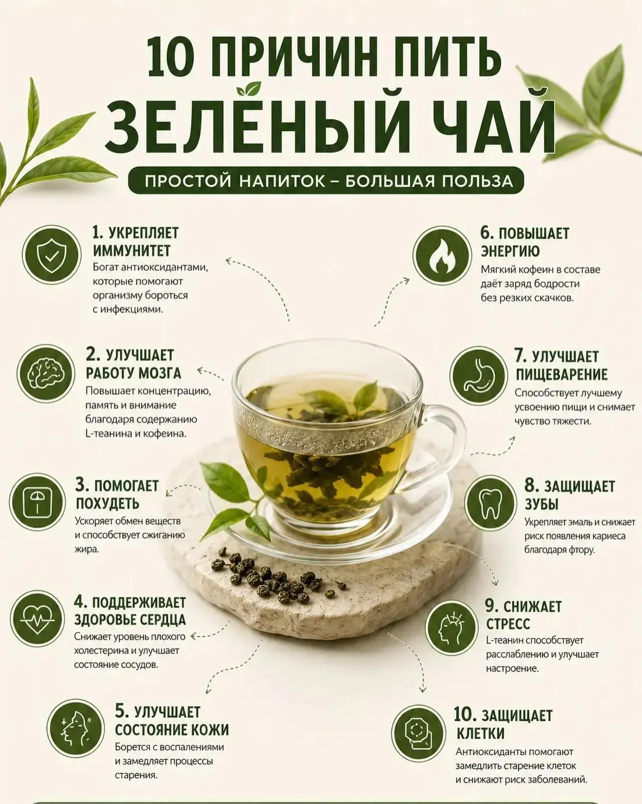 🍵 Зелёный чай — привычка, которая работает на ваше здоровье каждый день
Одна чашка — это не волшебн