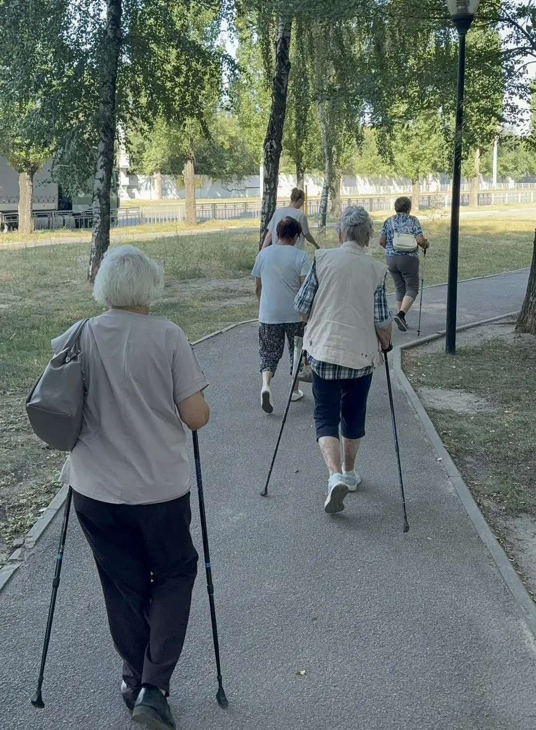 📌Движение к активному долголетию: скандинавская ходьба