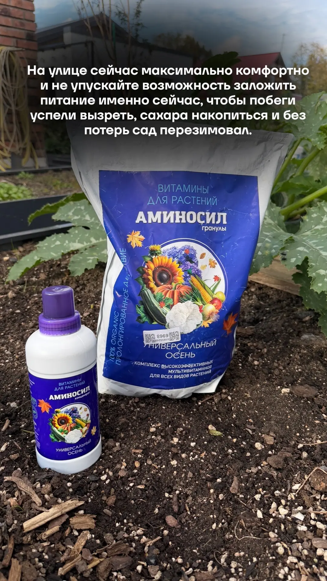 Сегодня начинаю подкармливать мой сад и готовить его к зиме🍂