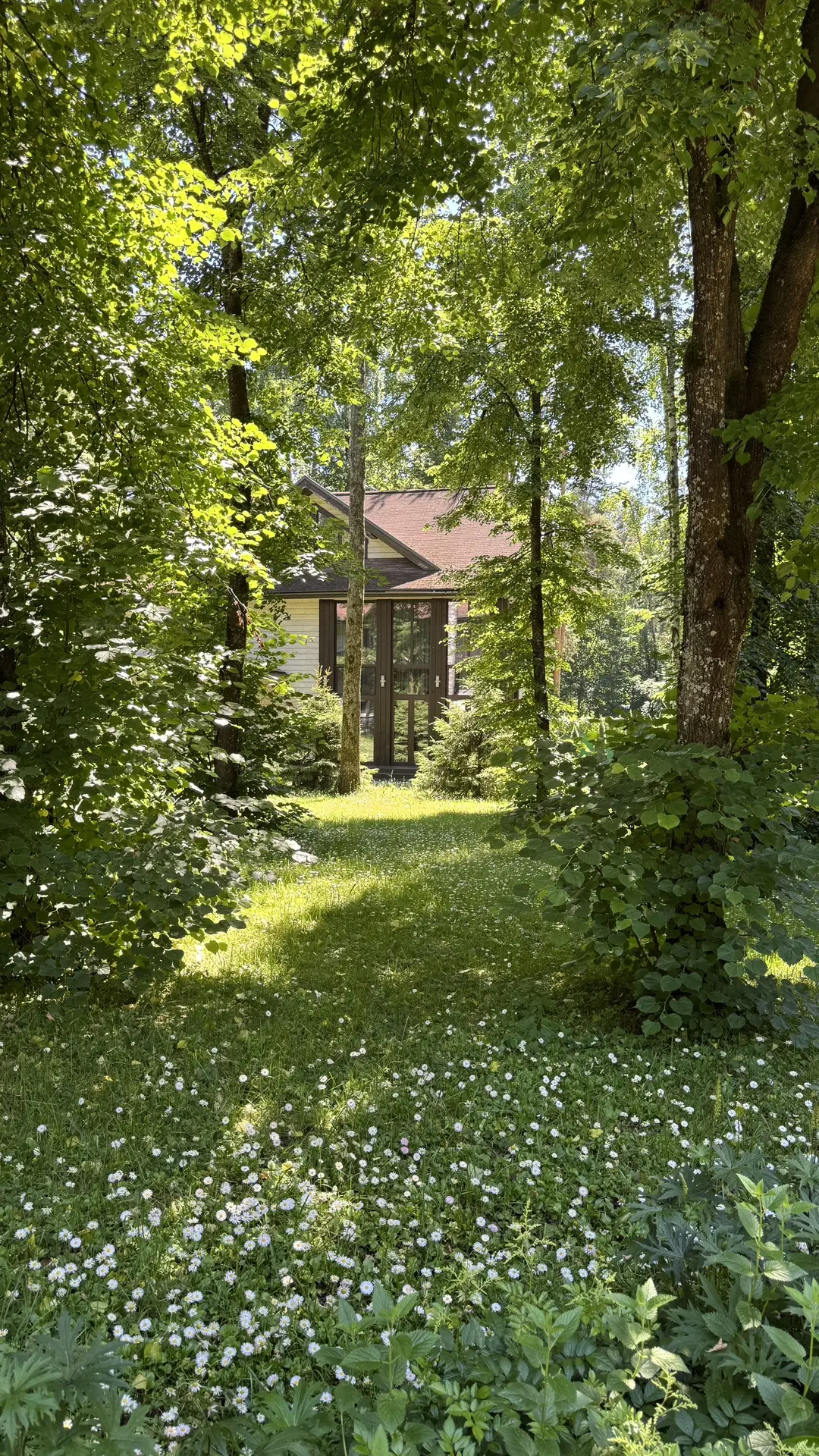 Продолжаю про красоту, обратите внимание, как шикарна цветущая сныть в дизайне на последнем фото
