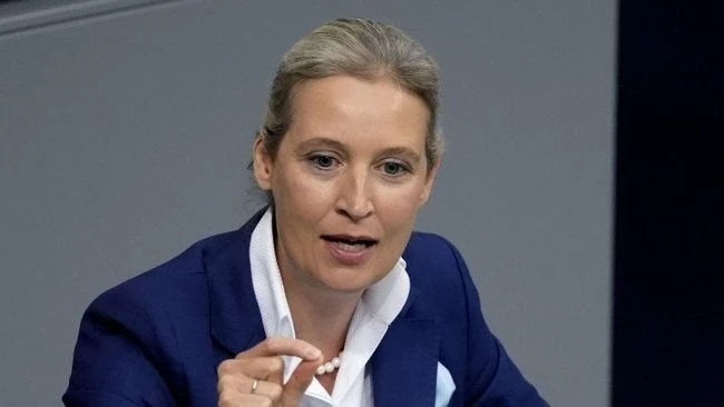 Сопредседатель партии АдГ Вайдель подвергла критике визит Мерца на Украину и обещания н...
