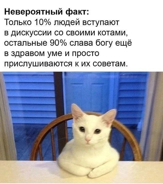 ВИШНЯ 🍒