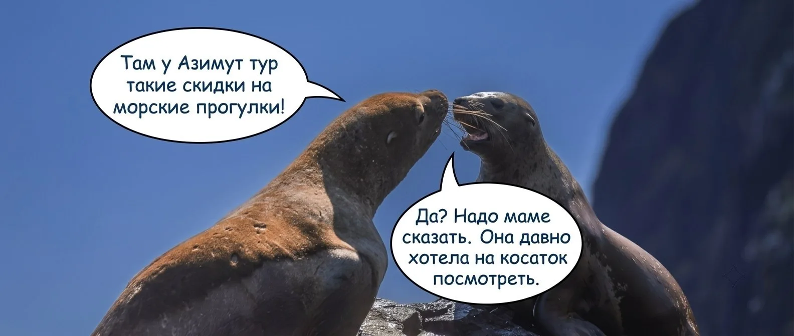 Привет, друзья. На связи Юля 👋
