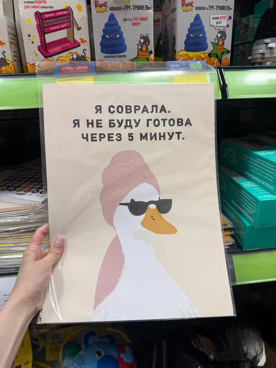 Как вам постеры в Фикс Прайсе?) Что-нибудь понравилось?))   Пришел, увидел, ЗАБЫЛ…. 😁🔥