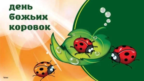 🐞 #ДеньБожьейКоровкиИскорка