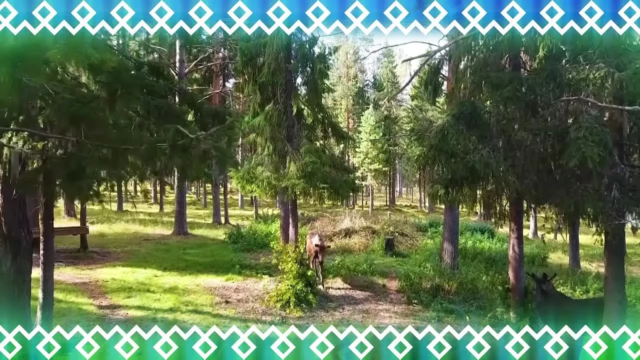 Сегодня нашей родной Коми 105 лет!