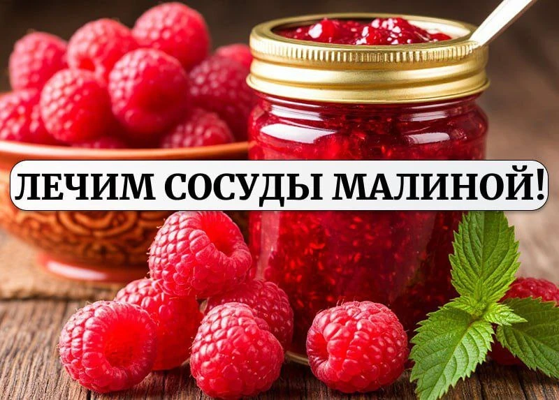 Почему малину так важно есть после 40?