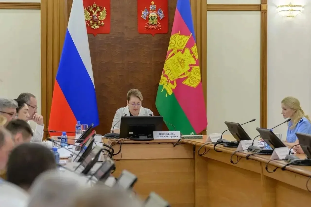Заместитель главы района Ольга Худоерко приняла участие в заседании краевой комиссии по делам несове