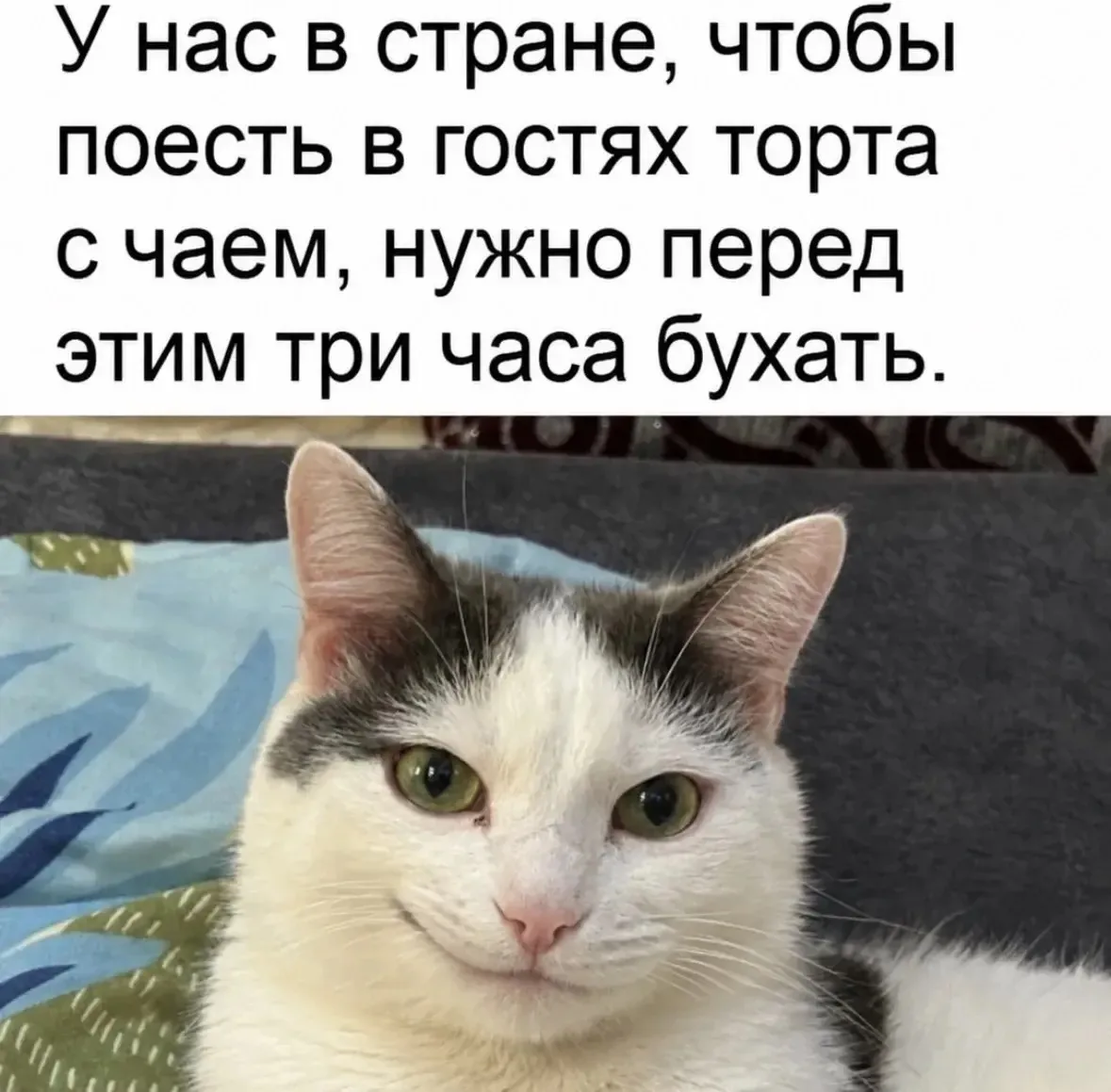 Правда