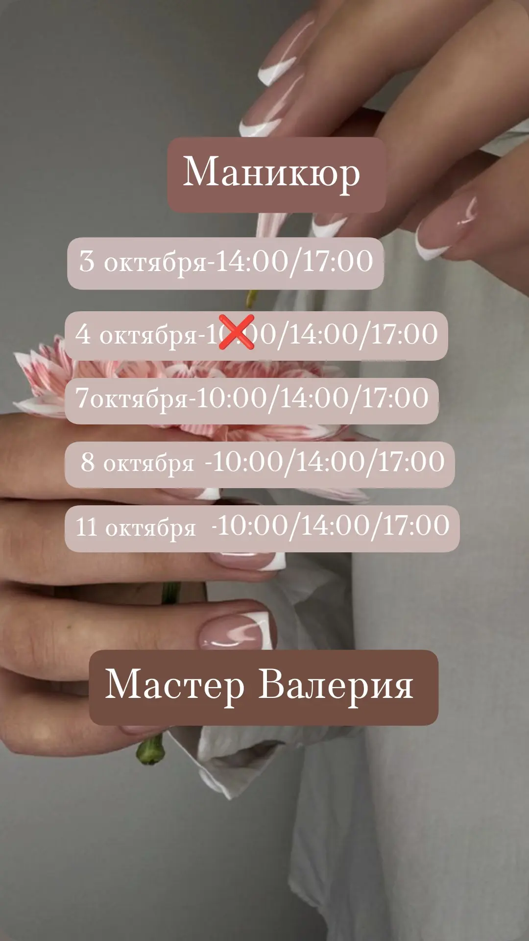 Свободные окно✨