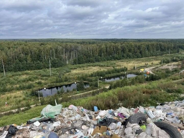 Прокуратура выявила повторные нарушения на мусорном полигоне под Петушками.