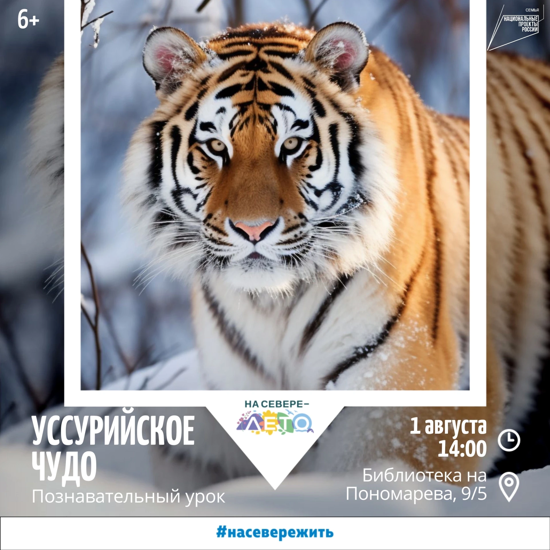 🐈 Самые интересные встречи в наших библиотеках!

На этих выходных вы узнаете о Международном дне ти