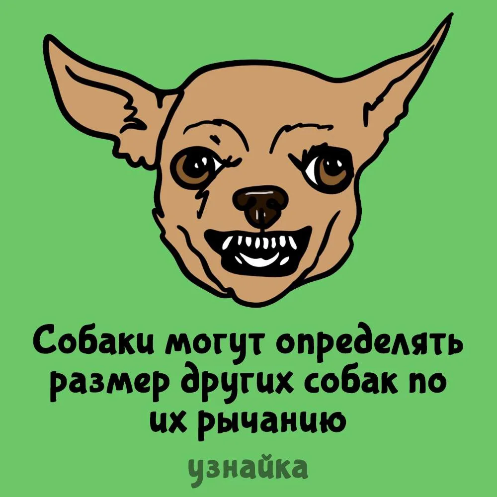 Умняжечки какие🥰