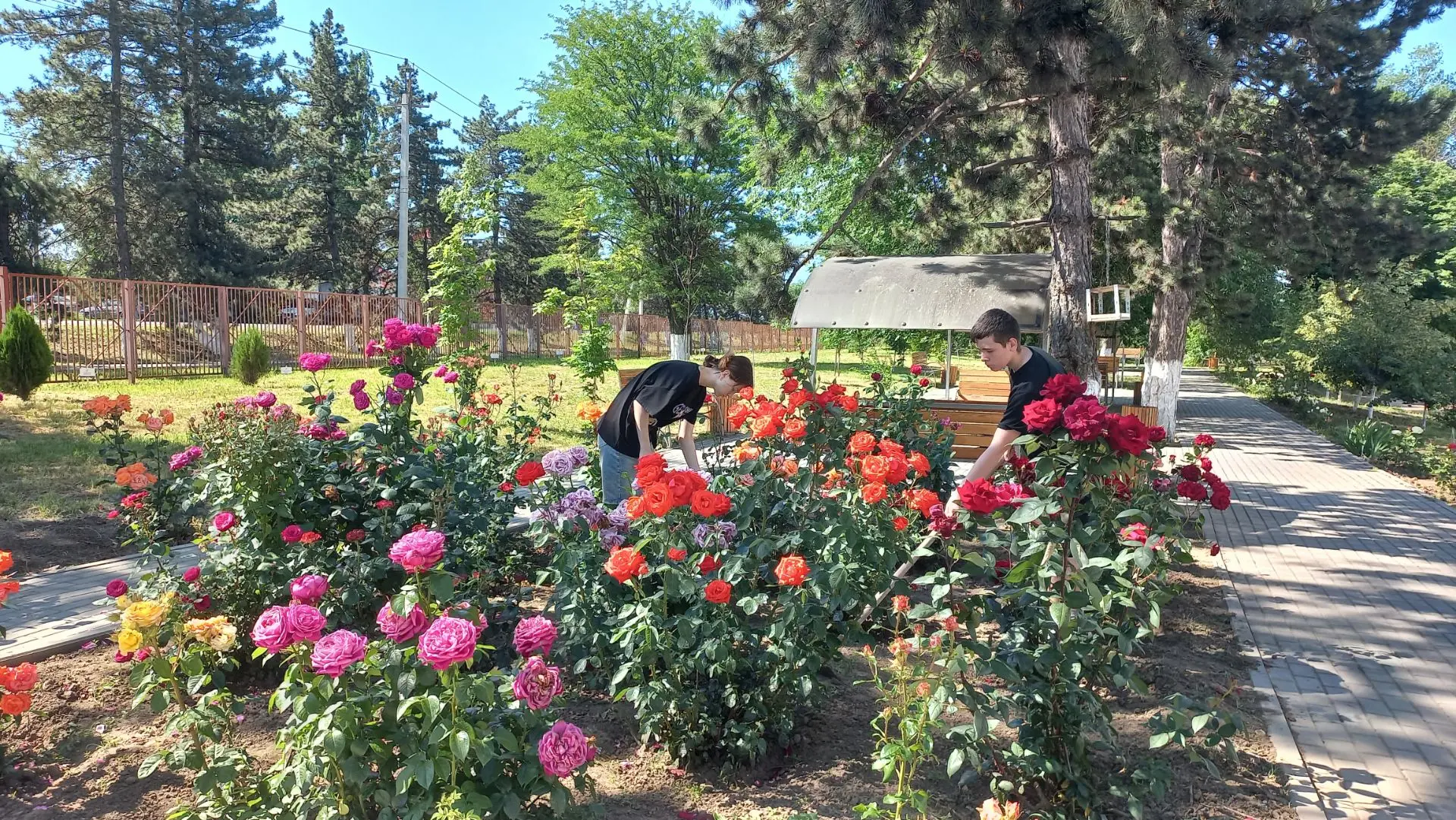 🌳 Уход за школьной территорией летом🌸
#МБОУСОШ61им.П.Е.Ладана