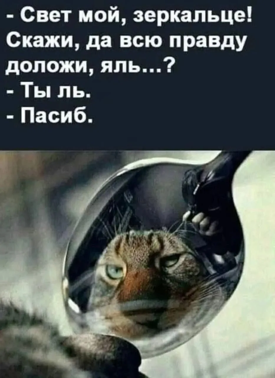 Особенно актуально по утрам 😀😀😀. Когда редко можешь узнать себя в зеркале...